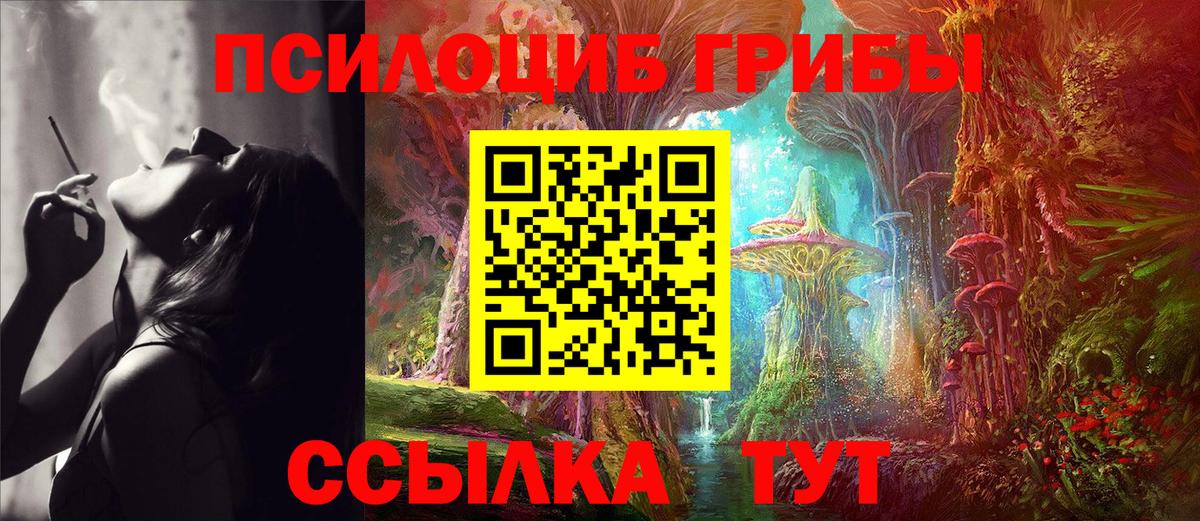 Псилоцибиновые грибы Cubensis Учалы