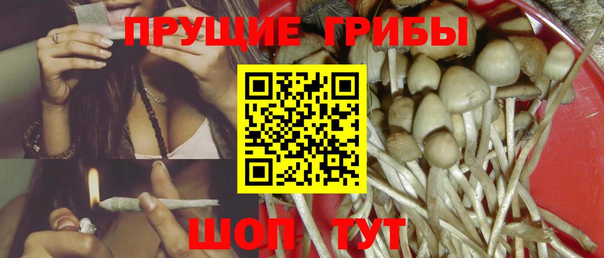 Учалы  где продают наркотики  Вход с VPN  Псилоцибиновые грибы мухоморы 
